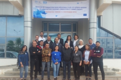 sub-regional training session 1-2 November 2018 at the rescue centre of sea turtle (INSTM), in Monastir, Tunisia.