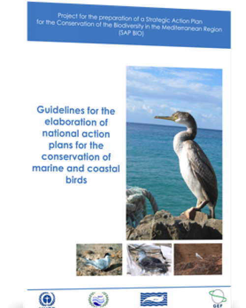 Guidelines for the elaboration of National Action plans for the conservation of marine and coastal birds