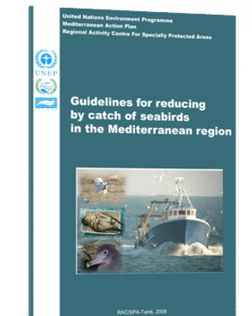 Guidelines for reducing by catch of seabirds in the Mediterranean region