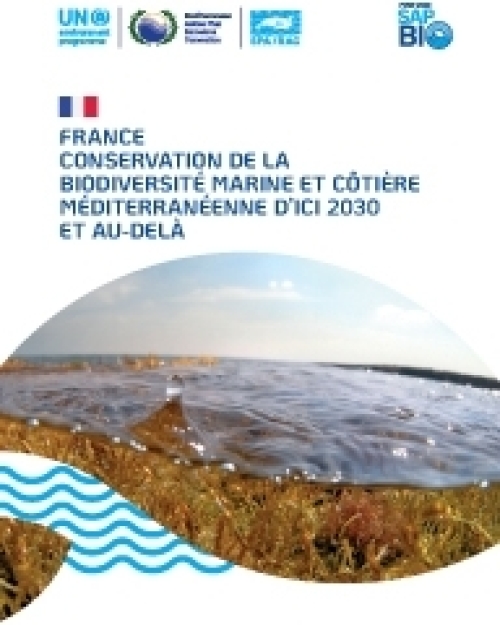 Conservation de la biodiversité marine et côtière méditerranéenne d’ici 2030 et au-delà en France