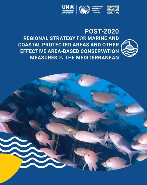 Post-2020 Regional Strategy for marine and coastal protected areas and other effective area-based conservation measures in the Mediterranean