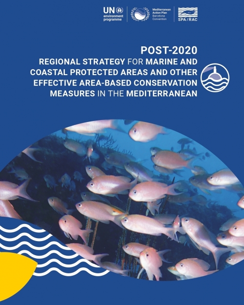 Post-2020 Regional Strategy for MCPAs and other effective area-based conservation measures in the Mediterranean