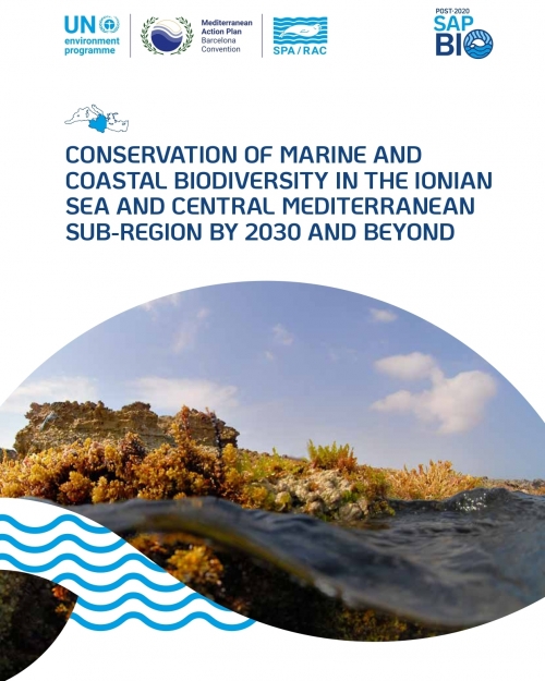 Conservation of marine and coastal biodiversity in the Ionian Sea and central Mediterranean sub-region by 2030 and beyond