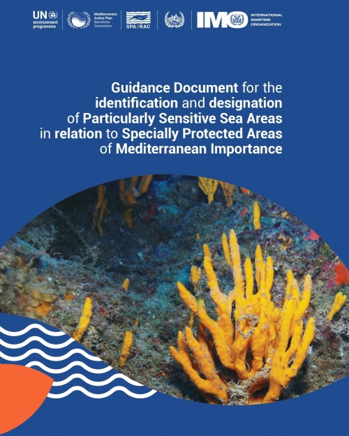 Guidance document for the identification and designation of Particularly Sensitive Sea Areas in relation to Specially Protected Areas of Mediterranean Importance.
