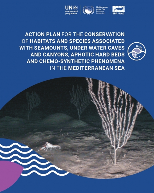 Action Plan for the conservation of habitats and species associated with seamounts, underwater caves and canyons, aphotic hard beds and chemo-synthetic phenomena in the Mediterranean Sea
