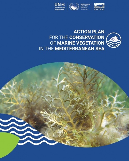 Action Plan for the conservation of marine vegetation in the Mediterranean Sea