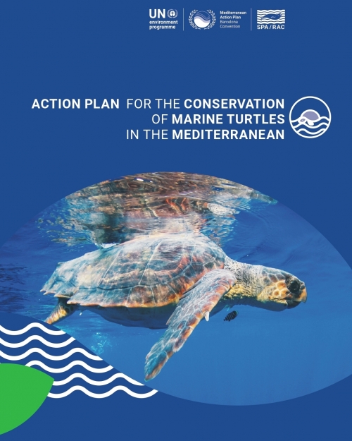 Action Plan for the conservation of Mediterranean marine turtles