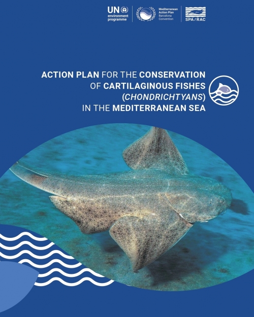 Action Plan for the conservation of cartilaginous fishes (Chondrichtyans) in the Mediterranean Sea