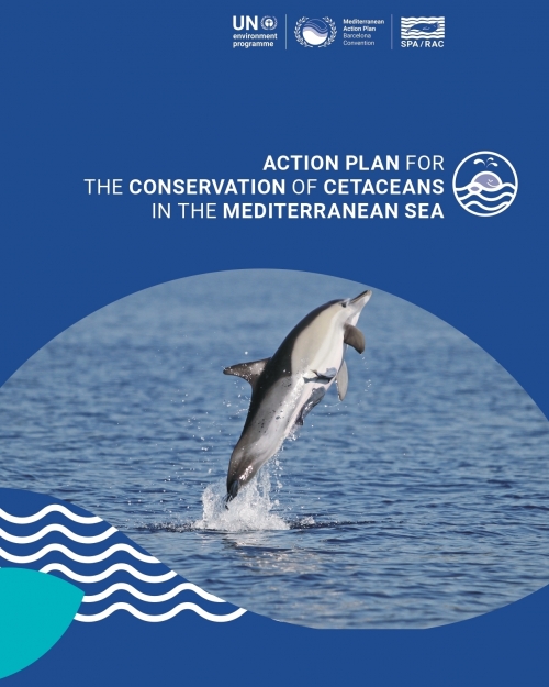Action Plan for the conservation of cetaceans in the Mediterranean Sea