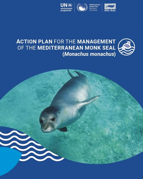 Action Plan for the management of the Monk Seal in the Mediterranean