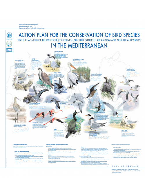 Poster on the bird species registred under annex II of the SPA/BD Protocol