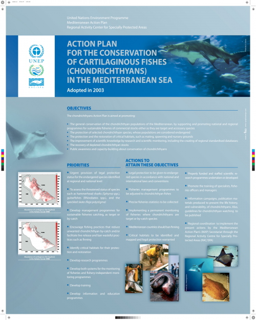 Poster sur le Plan d'action pour la conservation des poissons cartilagineux (chondrichtyens) en Méditerranée