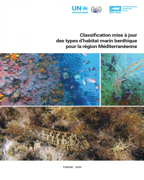 Classification mise à jour des types d'habitat marins benthiques pour la région Méditerranéenne