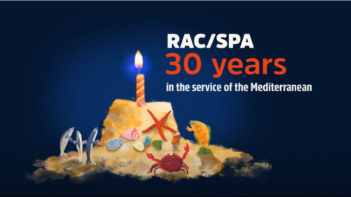 SPA/RAC 30 Years in the service of the Mediterranean (English)