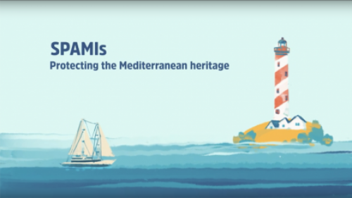 SPAMIs : Protecting the Mediterranean natural heritage