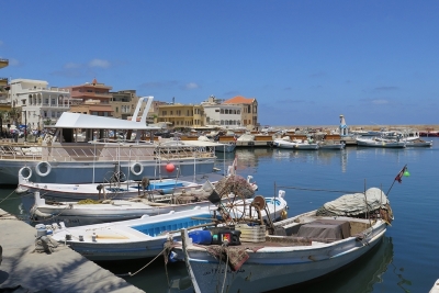 Call for consultancy to develop a business plan for Tyre Coast Nature Reserve in Lebanon