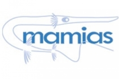 Marine Mediterranean Invasive Alien Species (MAMIAS)