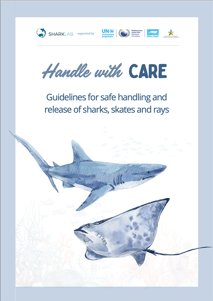 Handle with care guide cover