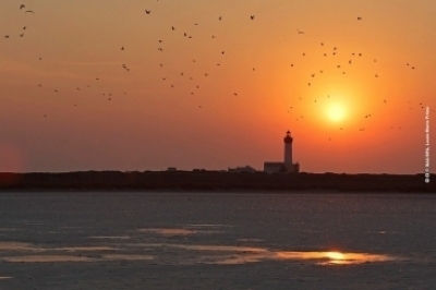 The Medfund grants 1.8 million euros for marine protected areas in Albania and Tunisia The Medfund grants 1.8 million euros for marine protected areas in Albania and Tunisia