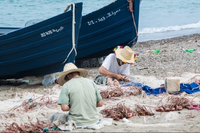 Co-managed No-Take Zones/MPAs project