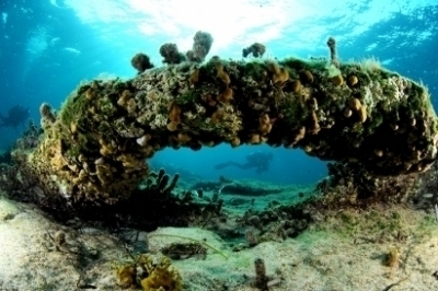 NEW PROJECT LAUNCHED TO SUPPORT MANAGEMENT AND EXPANSION OF MARINE PROTECTED AREAS IN LIBYA NEW PROJECT LAUNCHED TO SUPPORT MANAGEMENT AND EXPANSION OF MARINE PROTECTED AREAS IN LIBYA