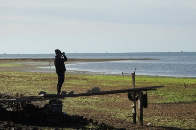 Observing to protect waterbirds Observing to protect waterbirds