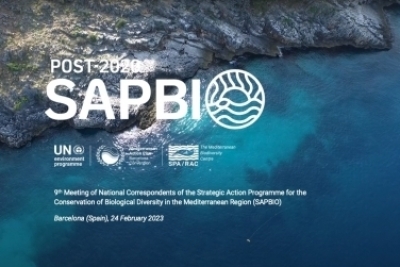 Driving action to reverse biodiversity loss in the Mediterranean Driving action to reverse biodiversity loss in the Mediterranean