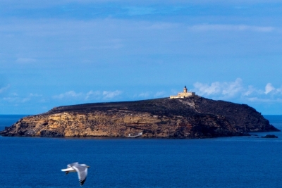 Lancement du classement de l’Aire Marine et Côtière de l’île de Rachgoun en Algérie Lancement du classement de l’Aire Marine et Côtière de l’île de Rachgoun en Algérie