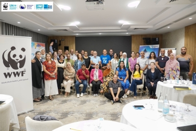 Sub-Regional Workshop on the conservation and management of sharks and rays in the Mediterranean