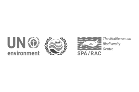 Seventeenth SPA/BD Focal Points meeting: advancing marine biodiversity conservation in the Mediterranean