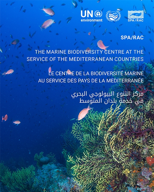 LE CENTRE DE LA BIODIVERSITÉ MARINE AU SERVICE DES PAYS DE LA MEDITERRANÉE