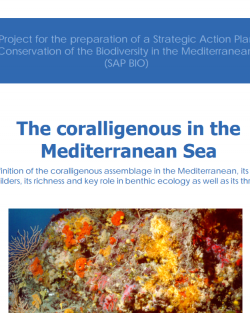 The Coralligenous in the Mediterranean Sea 
