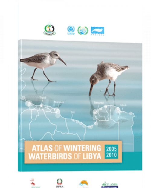 Atlas des oiseaux aquatiques hivernants de Libye (2005 - 2010)