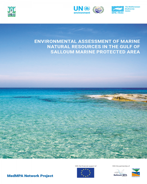 Environmental assessment of marine natural resources in the Gulf of Salloum Marine Protected Area 