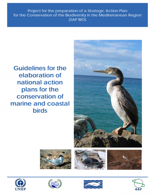 Lignes directrices pour l'élaboration de plans d'action nationaux pour la conservation des oiseaux marins et côtiers