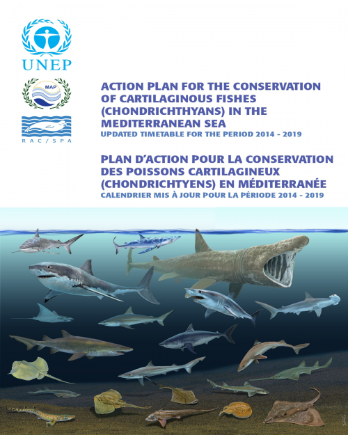 Calendrier mis à jour (2014 - 2019) du Plan d'Action pour la conservation des poissons cartilagineux (Chondrichtyens) en Méditerranée
