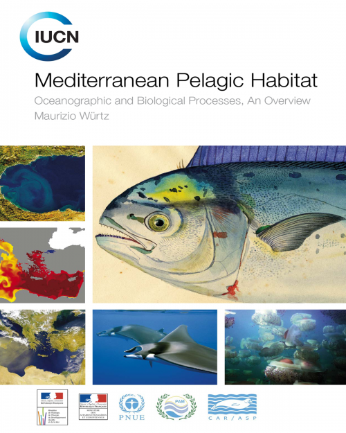 Habitat pélagique méditerranéen : processus océanographiques et biologiques, un aperçu