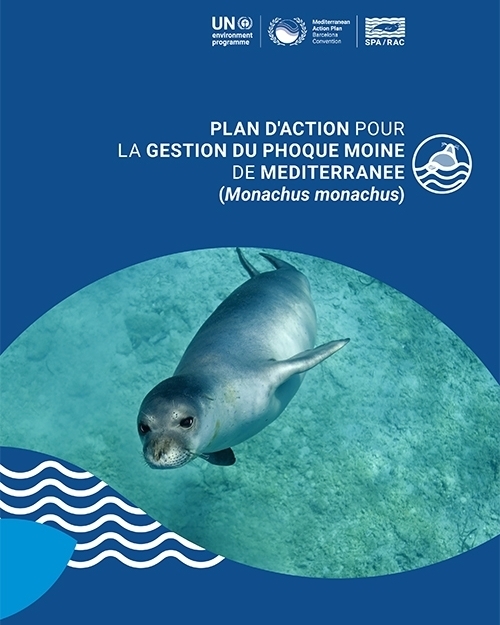 Plan d’action pour la gestion du Phoque moine en Méditerranée