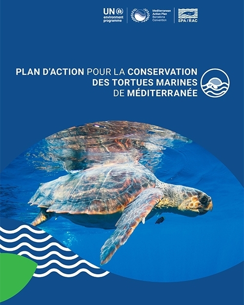 Plan d’action pour la conservation des tortues marines de Méditerranée
