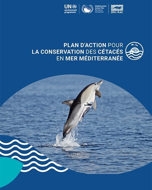 Plan d’action pour la conservation des cétacés en mer Méditerranée