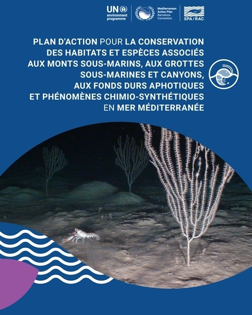 Plan d'action pour la conservation des habitats et espèces associés aux monts sous-marins, aux grottes sous-marines et canyons, aux fonds durs aphotiques et phénomènes chimio-synthétiques en mer Méditerranée