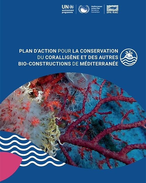 Plan d'action pour la conservation du coralligène et des autres bioconstructions de Méditerranée