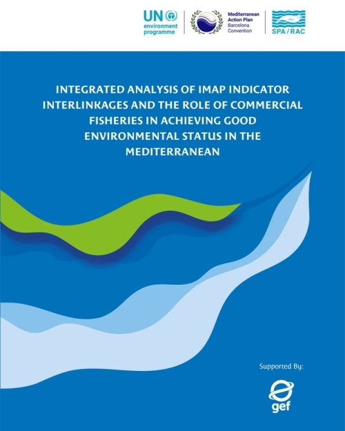 Integrated Analysis of IMAP Indicator Interlinkages and the Role of Commercial Fisheries in Achieving Good Environmental Status in the Mediterranean