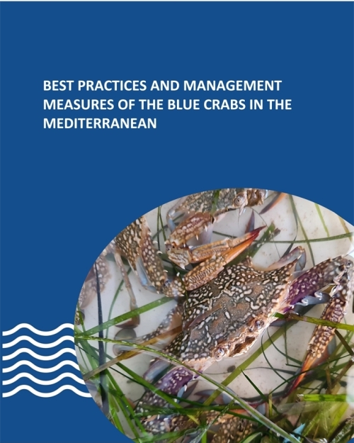 Bonnes pratiques et mesures de gestion des crabes bleus en Méditerranée