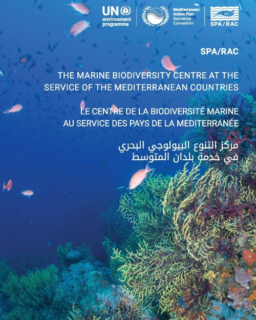 LE CENTRE DE LA BIODIVERSITÉ MARINE AU SERVICE DES PAYS DE LA MEDITERRANÉE