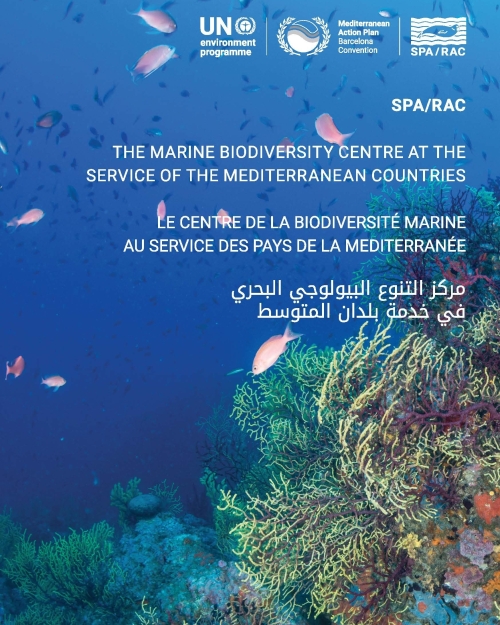 THE MARINE BIODIVERSITY CENTRE AT THE SERVICE OF THE MEDITERRANEAN COUNTRIES