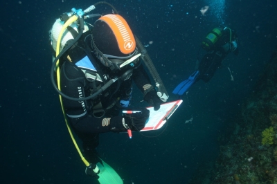 Appel à consultation pour l'évaluation de l'état de la biodiversité marine en mer Adriatique