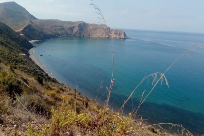 Consultation to develop simplified protocols for monitoring marine habitats in Al Hoceima