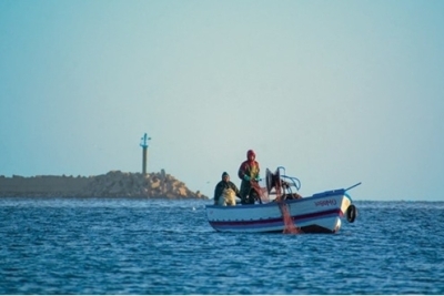 Appel à consultation : Coordinateur national pour l’élaboration et la mise en œuvre du Plan d’Action National Plus (NAP+) pilote et de son plan d’investissement au Monténégro Appel à consultation : Coordinateur national pour l’élaboration et la mise en œuvre du Plan d’Action National Plus (NAP+) pilote et de son plan d’investissement au Monténégro