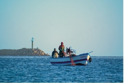 Appel à consultation : Élaboration du Plan d’Action National Plus (NAP+) et de son plan d’investissement pour la Tunisie, alignés sur les objectifs et cibles du SAPBIO Post-2020